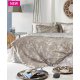 KENTIA Feng Shui 15 Μαξιλαροθήκες Σετ 2 Τεμ 50X70 Lignt Brown Beige 0031429 KENTIA Feng Shui 15 Μαξιλαροθήκες Σετ 2 Τεμ 50X70 Lignt Brown Beige 0031429